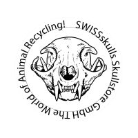 Lesen Skullstore GmbH Bewertungen